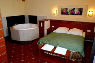 Отель Hotel Venecia Palace Михаловице Двухместный номер с 1 кроватью и гидромассажной ванной-1
