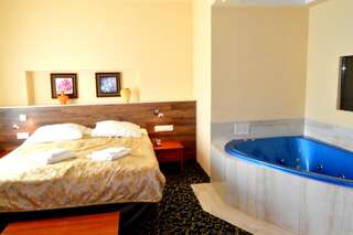 Отель Hotel Venecia Palace Михаловице Двухместный номер с 1 кроватью и гидромассажной ванной-3